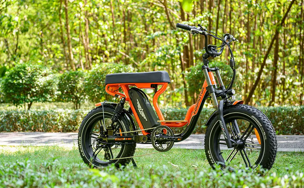 electric cycle range