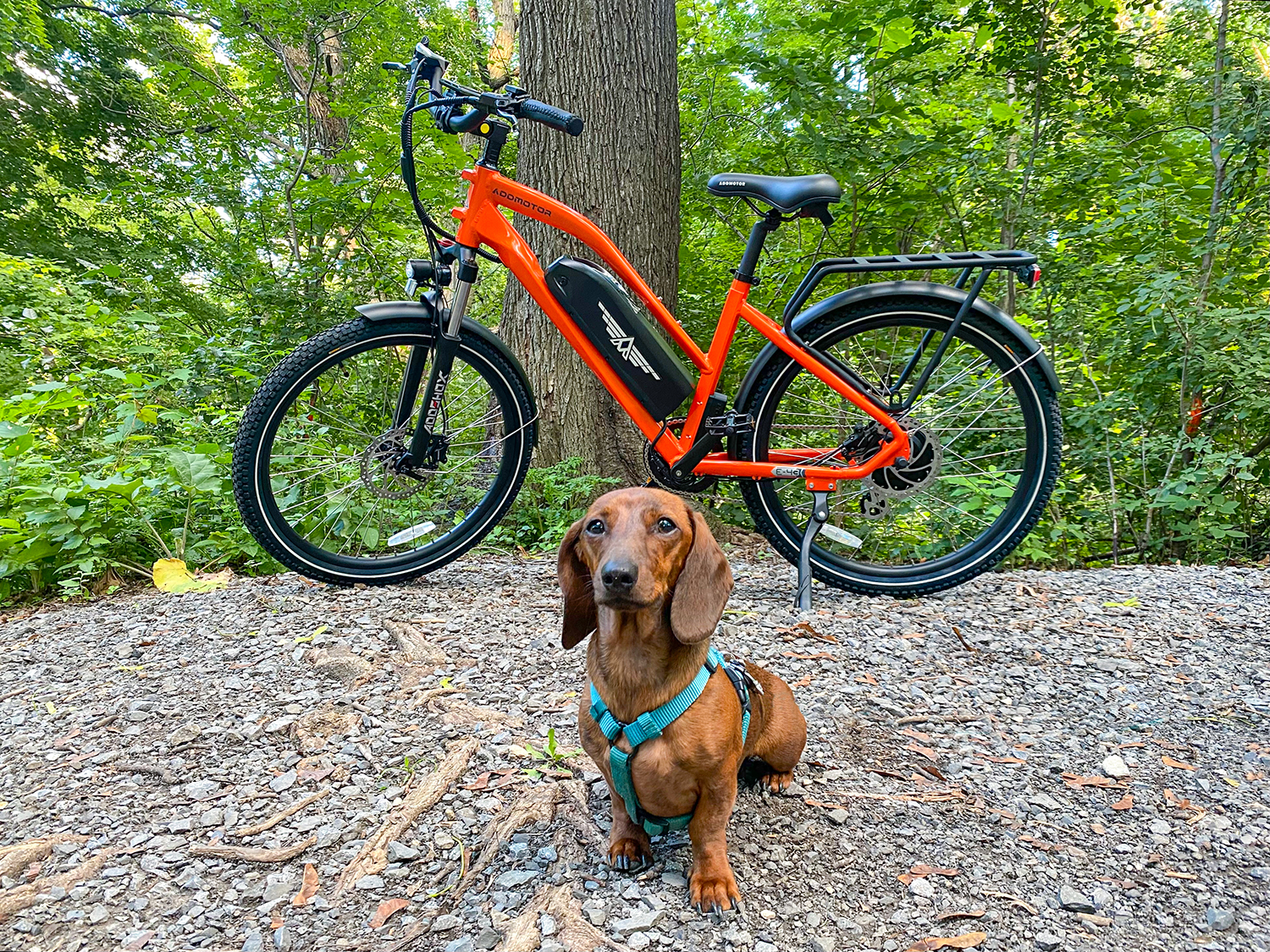 CityPro E-bike Step Thru Urban Citypro Electric Bike Orange