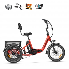 TOP Electric Trike