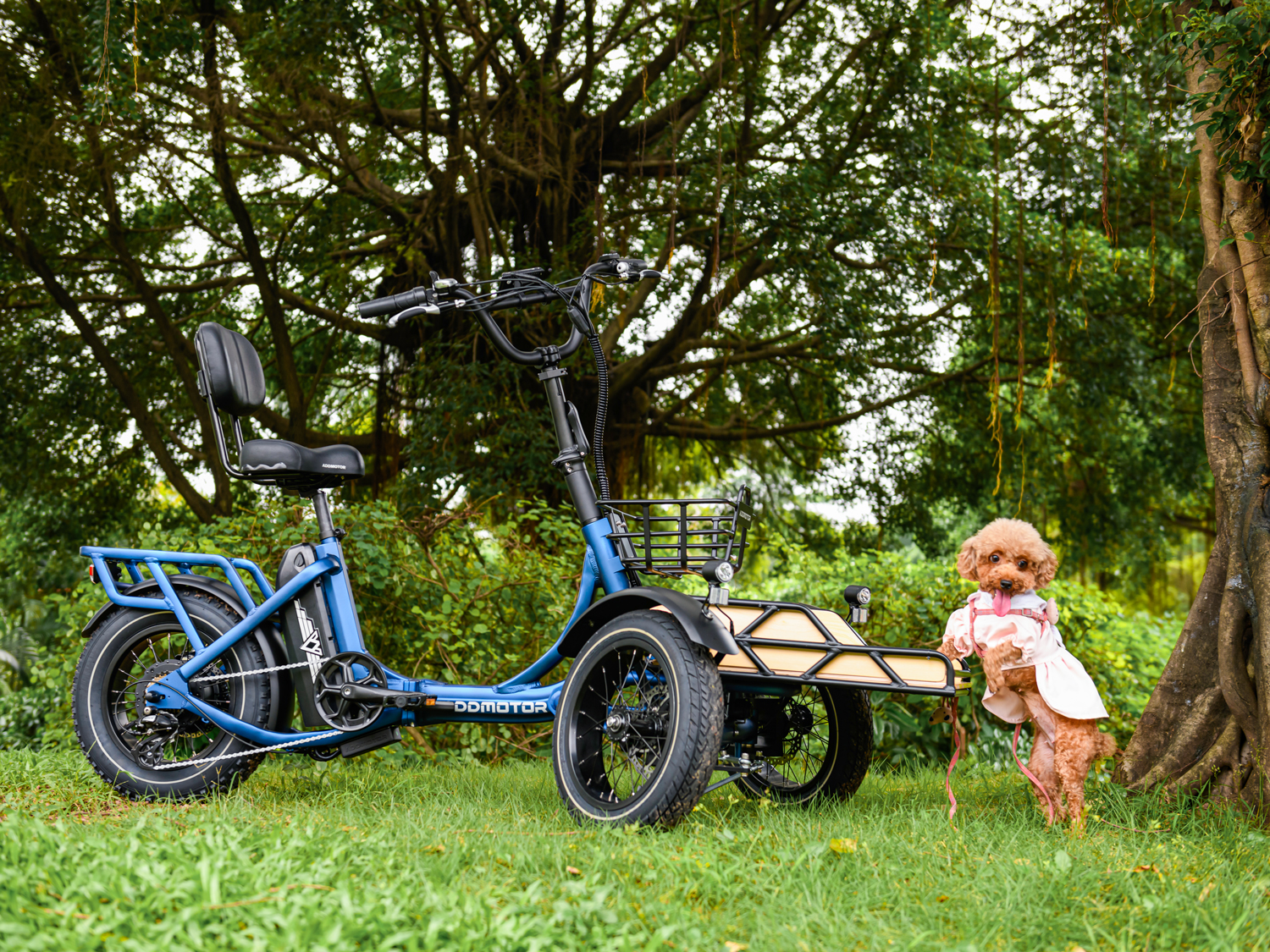 SPYTAN electric trike which can be folded as well, and carry your pet